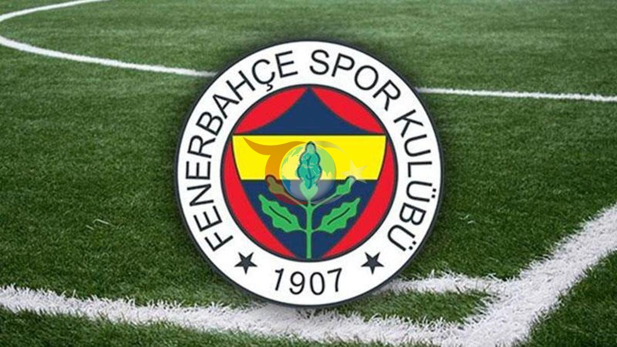 Fenerbahçe'nin Yıldızı Dorgeles Nene Fransa'da Ameliyat Oldu
