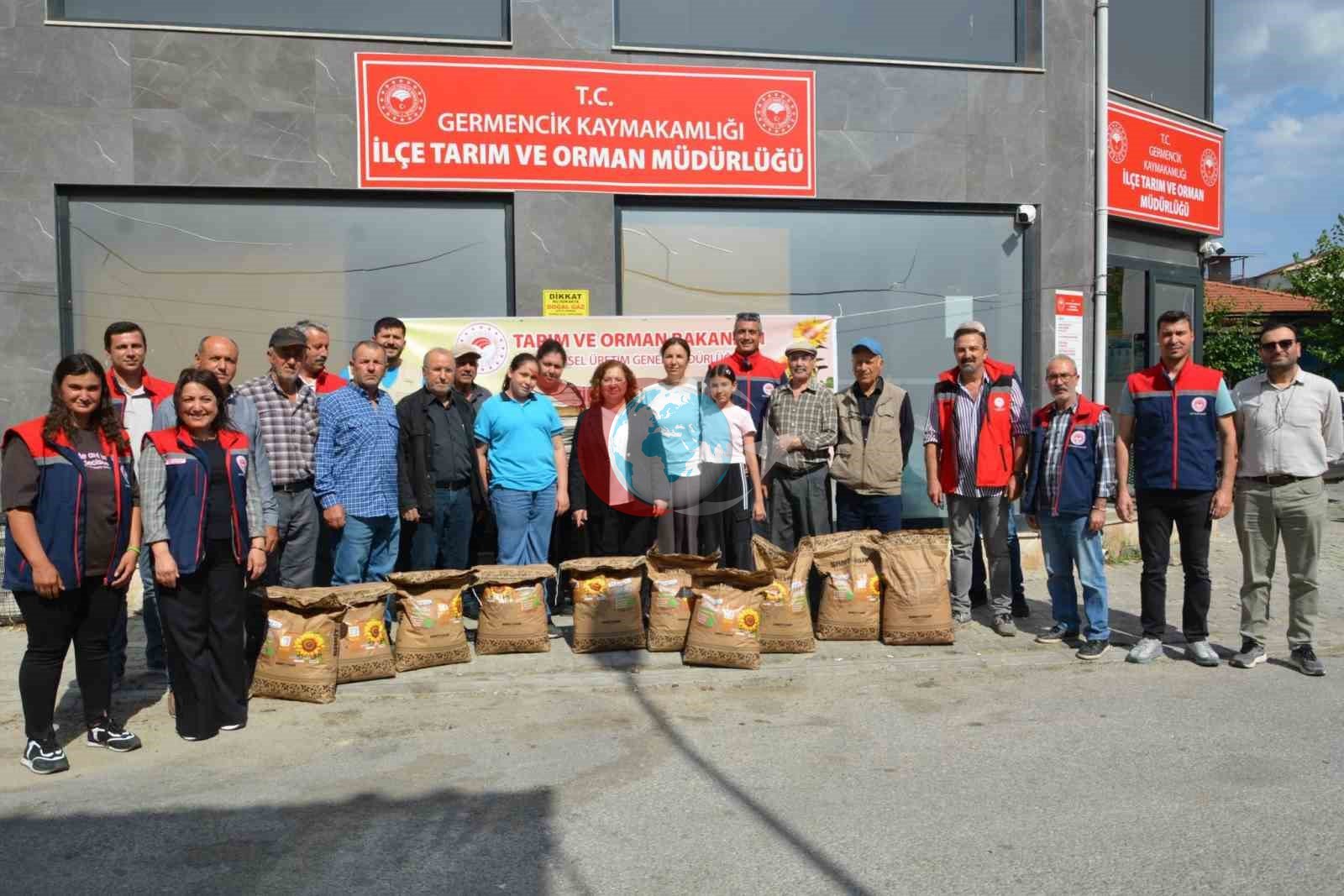 Aydın'da Çiftçilere Ayçiçeği Tohumu Desteği Sürüyor