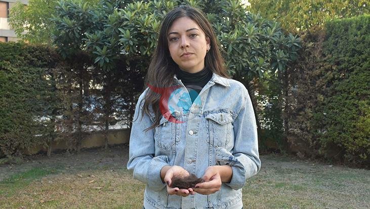 Doktor İrem’i Darp Eden Sanıklara Mahkemeden Cezalar