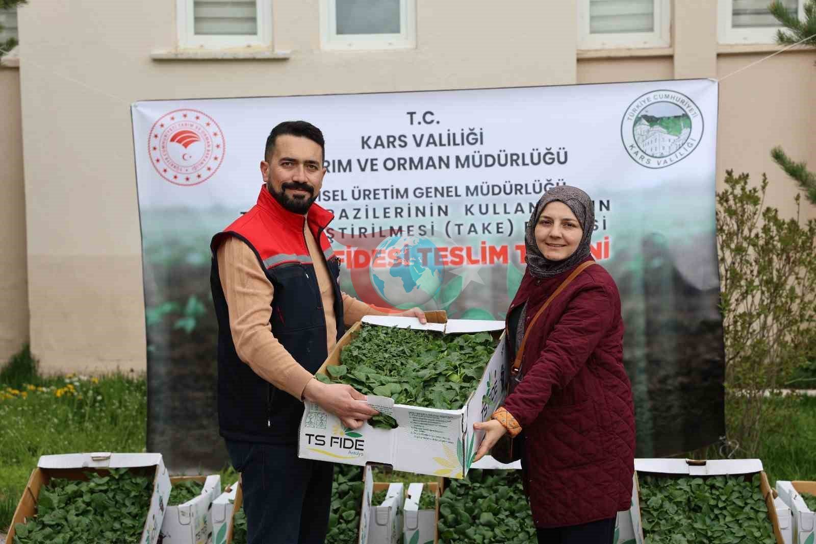 Kars&rsquo;ta sebze üretimine destek: Binlerce fide üreticiyle buluştu