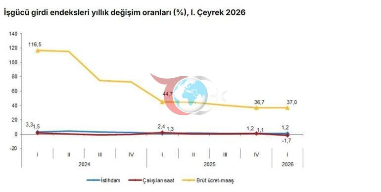 TÜRKİSTAT: Məşğulluq indeksi hər il yüzdə 1,2 artdı