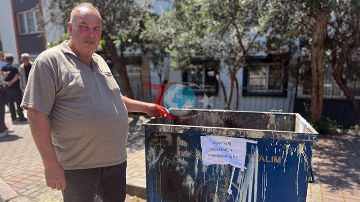 İzmir'de Çöp Konteynerinde 33 Donmuş Kedi Cesedi Bulundu