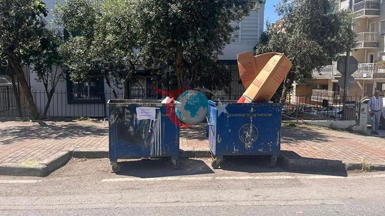 İzmirde vahşet Çöpte 33 ölü kedi bulundu: Hayvanlar buzdolabında dondurulmuş