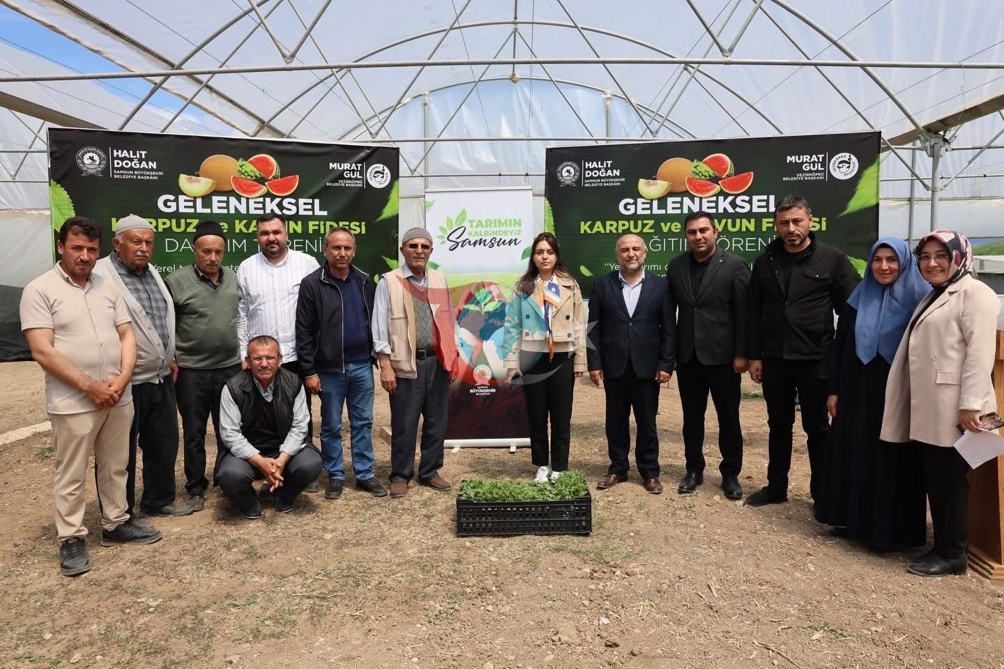 Samsun'da Çiftçiye Destek: 120 Bin Fide Ücretsiz Verildi