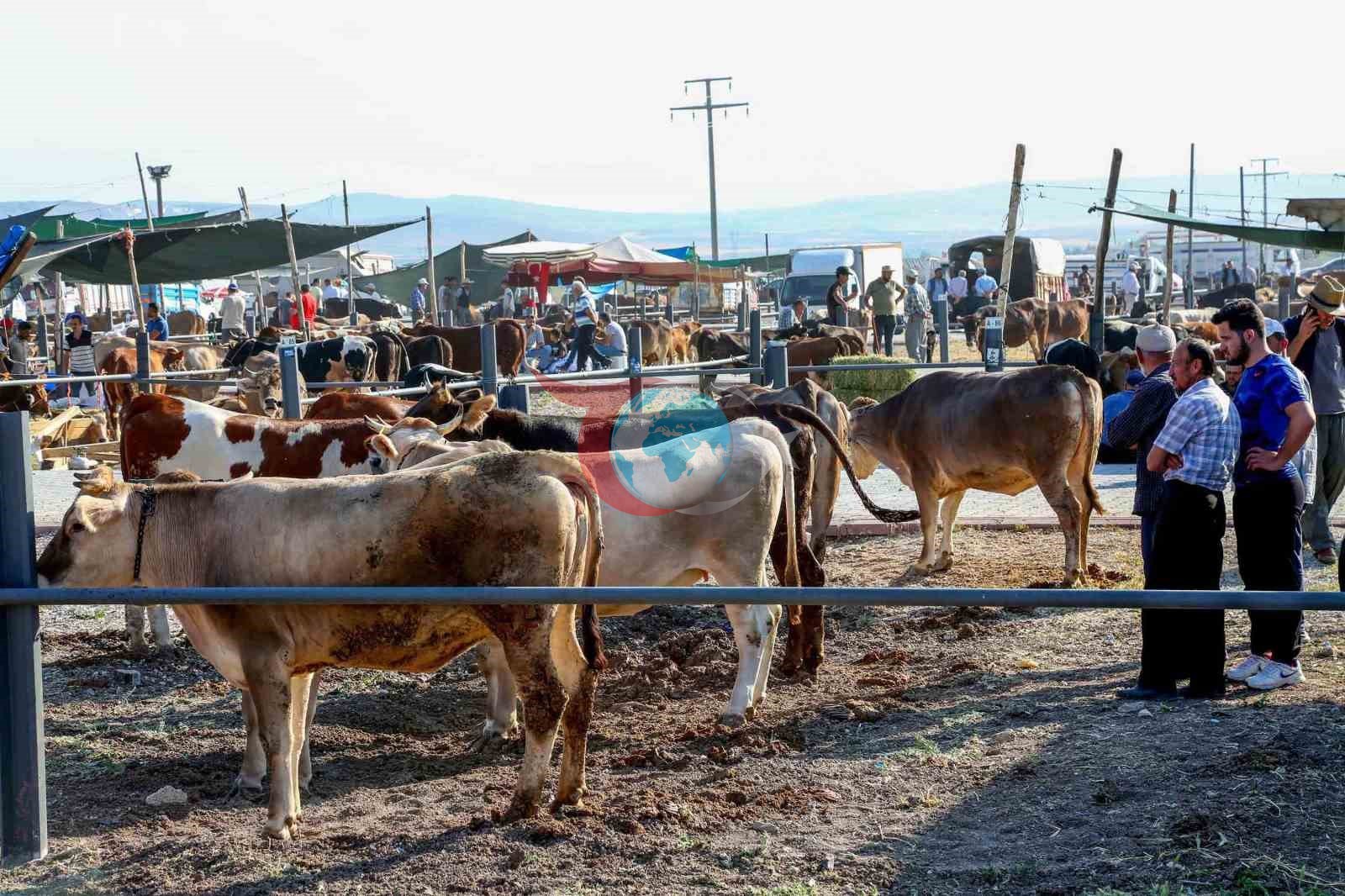 Meram Belediyesi Kurban Bayramı İçin Tüm Hazırlıklarını Tamamladı