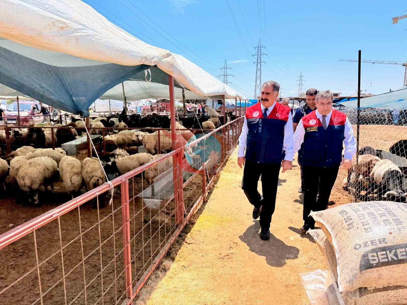 Mersinda Qurbon hayiti oldidan intensiv tekshiruv jarayoni boshlandi