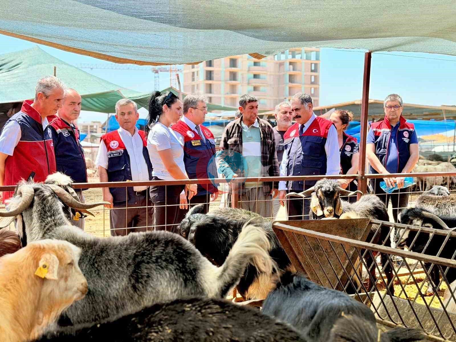 Mersin&rsquo;de Kurban Bayramı öncesi satış noktalarında sıkı denetim