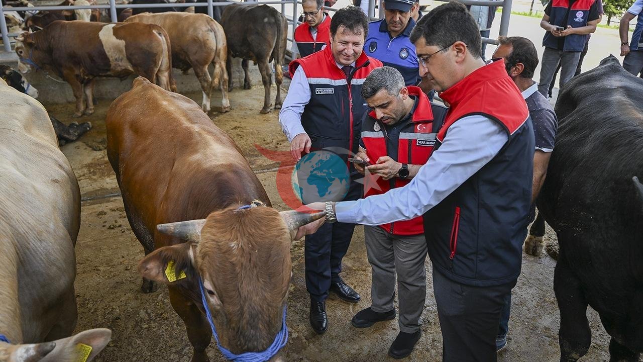 Kurban Bayramı Öncesi 4 Milyondan Fazla Hayvan Denetimden Geçti