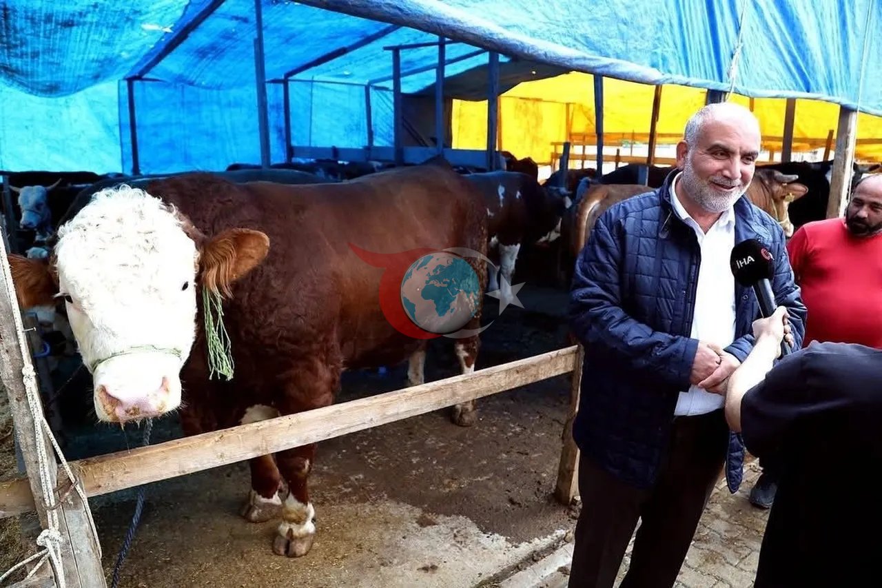400 bin TL verdiler, satmadı! 1.3 tonluk kurbanlık araba fiyatına alıcısını bekliyor
