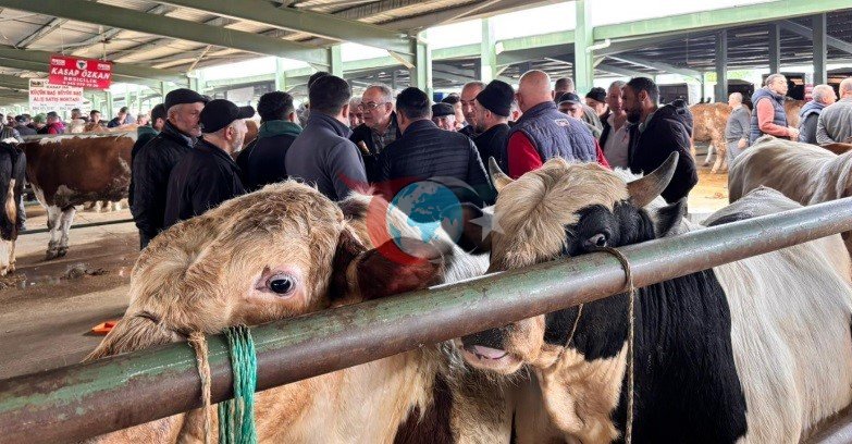 Tavşanlı'da Kurban Pazarı Canlanıyor: Fiyatlar ve Beklentiler