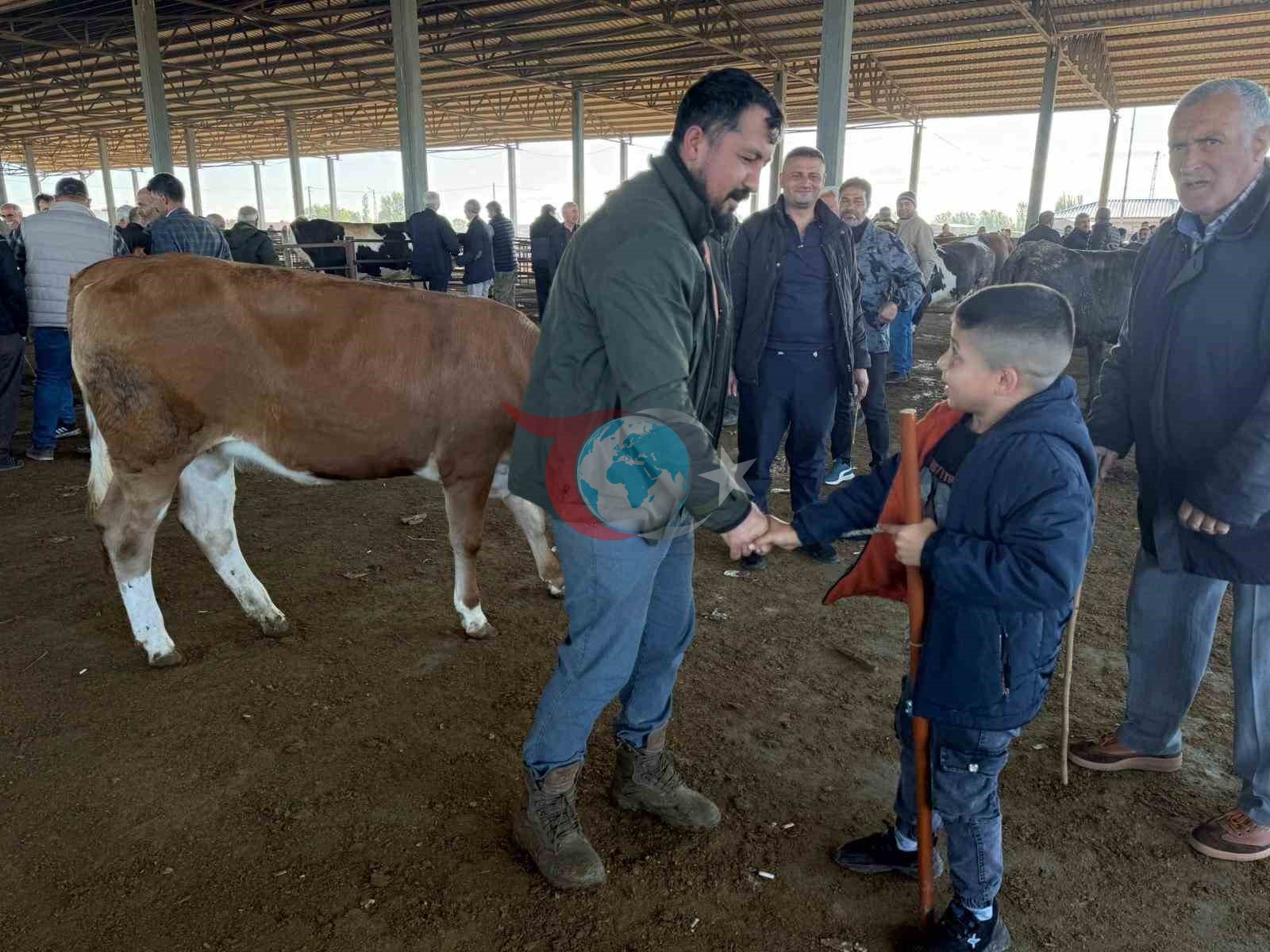 Iğdır'da Kurban Pazarı Hareketli: Küçükbaş Hayvanlara İlgi Artıyor
