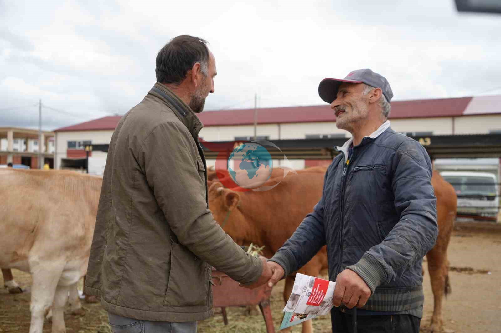 Bayburt'ta Kurban Bayramı Öncesi Hayvan Pazarı Canlılığı
