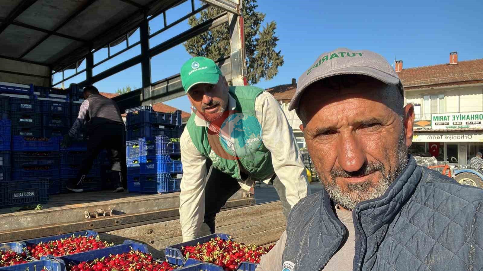 İznik'te Mevsimin İlk Karabodur Kirazı Tüccarlarla Buluşuyor