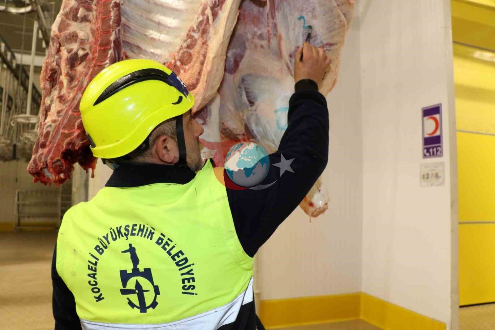 Kistli Organlar Tehlike Saçıyor: Uzmanlardan Uyarı