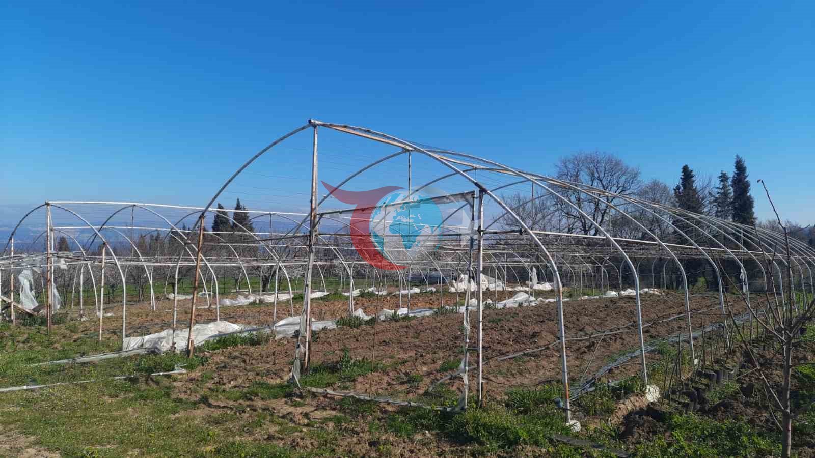 Seraları zarar gören üreticilere destek