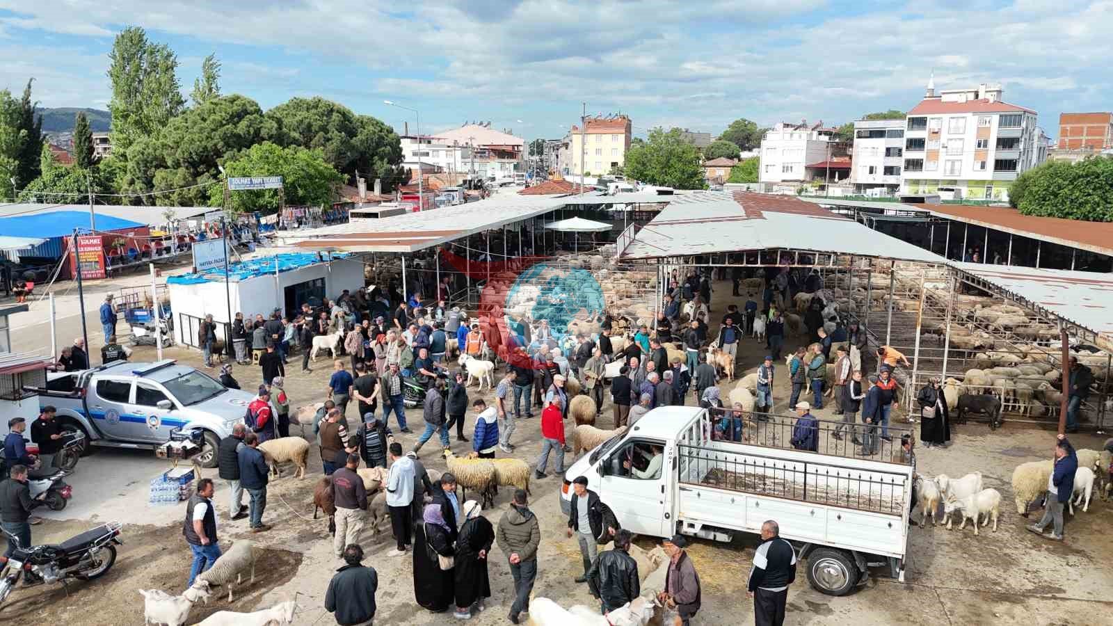 Havran Hayvan Pazarı'nda Bayram Yoğunluğu Zirveye Ulaştı