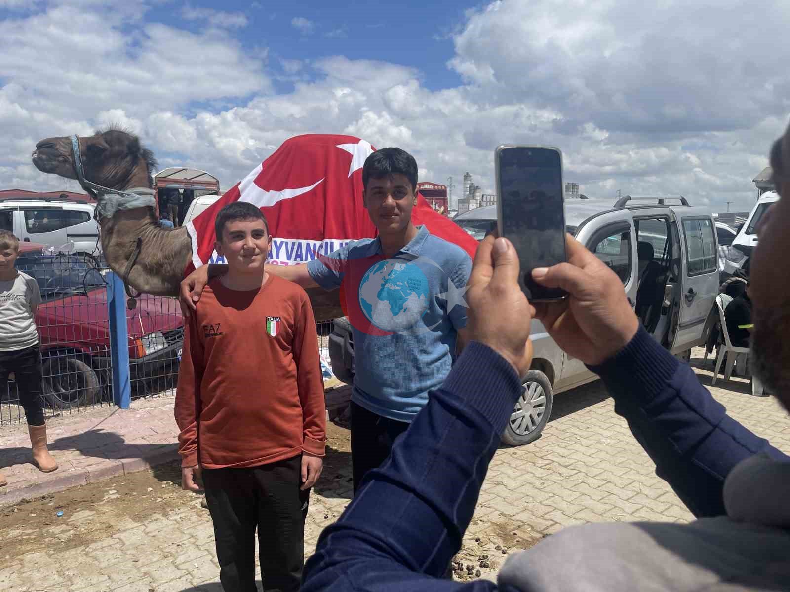 Kurban pazarının gözdesi deve 330 bin TL&rsquo;ye satıldı