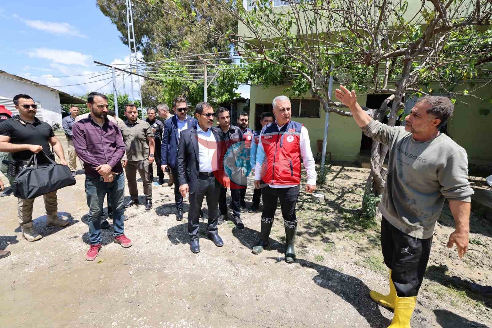 Defneda haddan tashqari yog'ingarchilikdan zarar ko'rgan hududlar