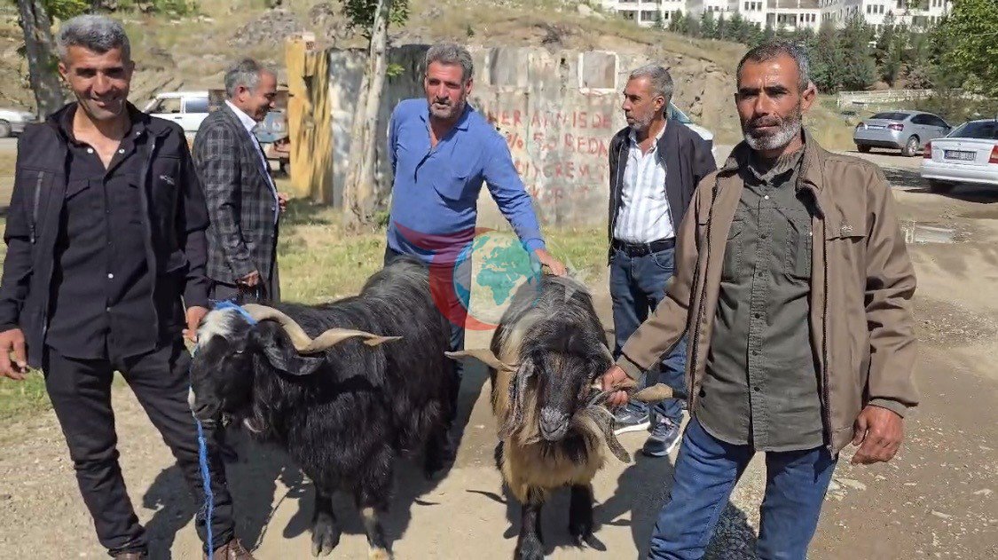 Diyarbakır'da Kurban Pazarına Yoğun İlgi