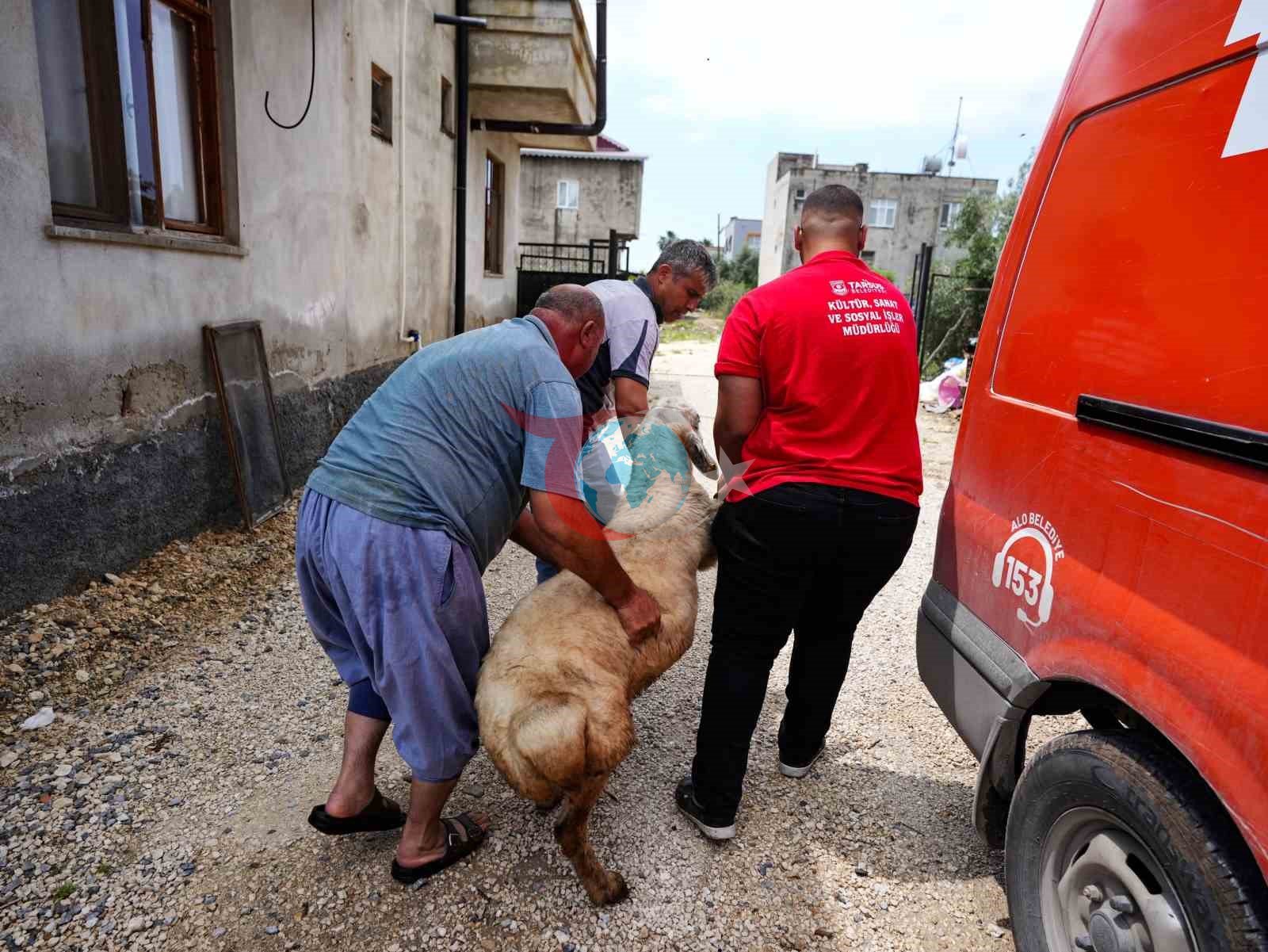 Tarsus Belediyesi'nden Şehit Ailelerine Kurban Bayramı Desteği