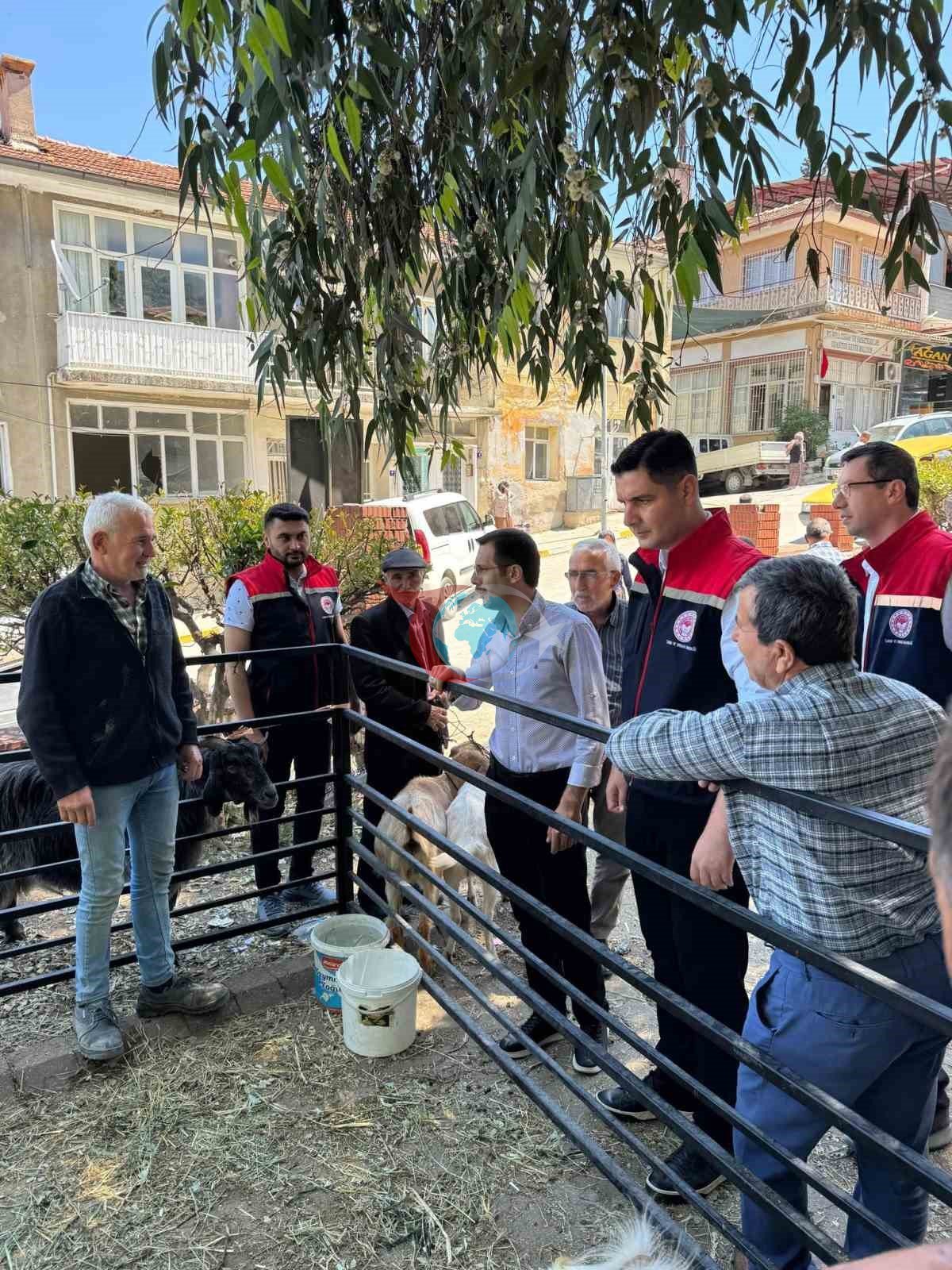 Kurban Bayramı öncesi Bozdoğan hayvan pazarında sıkı denetim