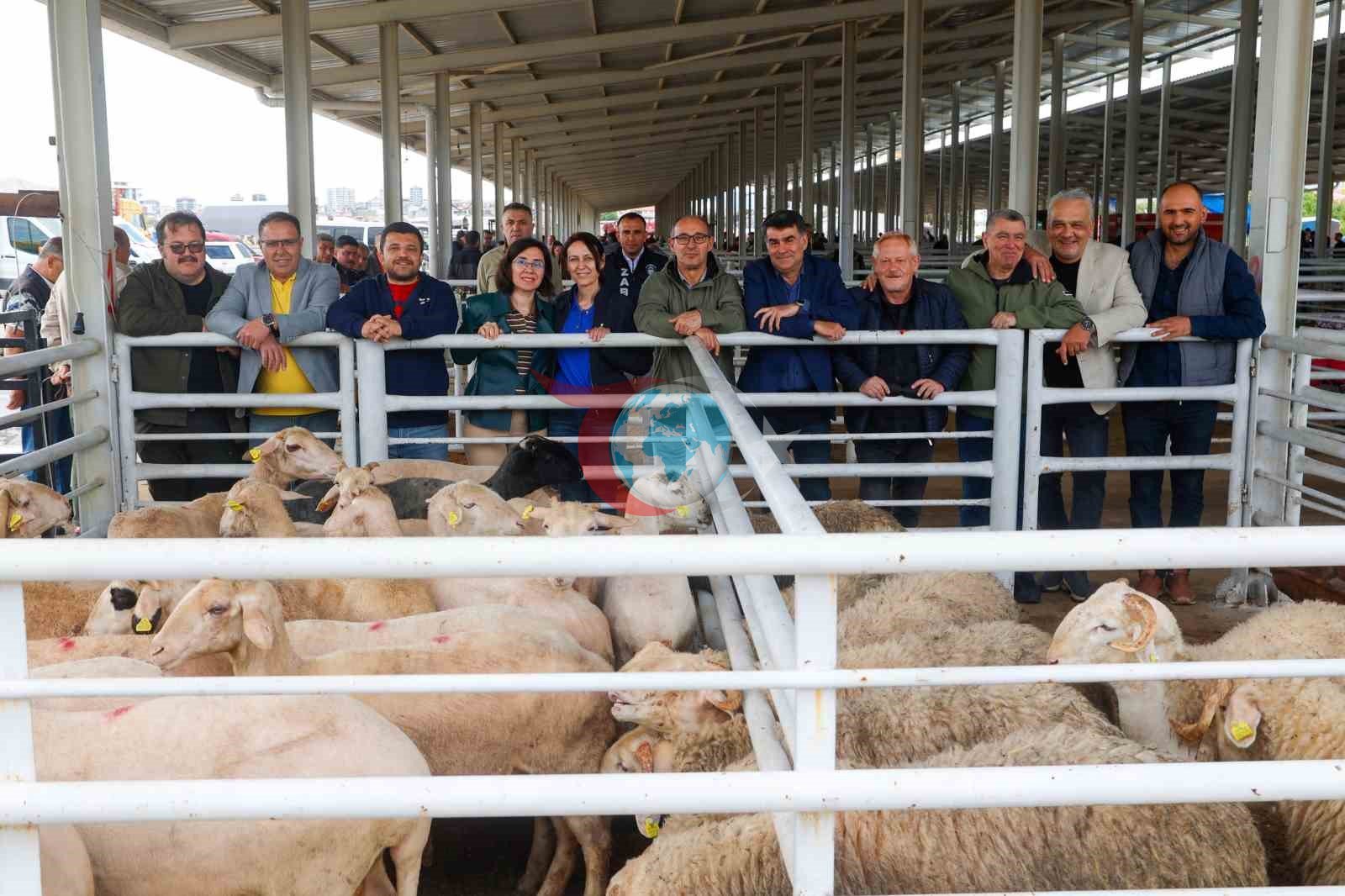 Uลak Belediye Baลkan Vekili รzkanโdan hayvan pazarฤฑna bayram ziyareti