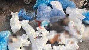 İzmirdeki 33 ölü kedi vahşetinde yeni gelişme Veterinerle ilgili verilen karar başsavcılık itiraz etti İzmirdeki 33 ölü kedi vahşetinde yeni gelişme Veterinerle ilgili verilen karar başsavcılık itiraz etti