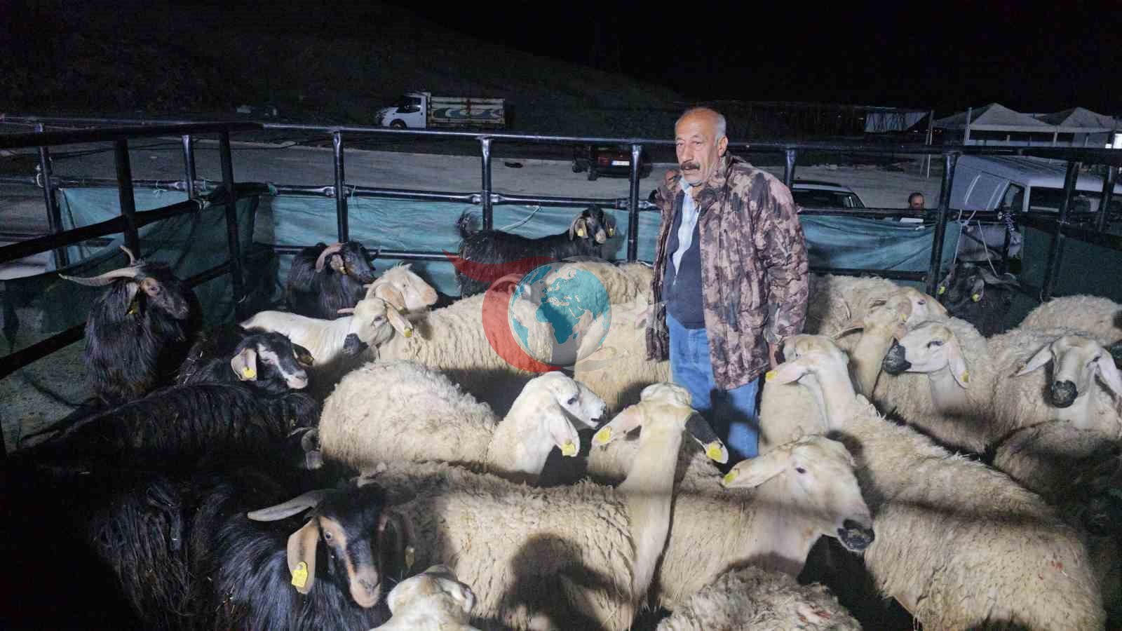 Elazığ'da Kurban Pazarı Nöbeti: Besicilerin Gece Mesaisi