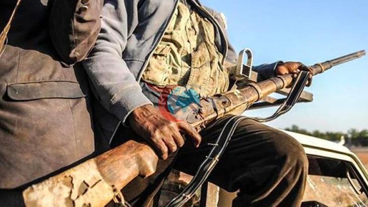 Nijerya'da Terörle Mücadelede Büyük Başarı: 317 Çete Üyesi Etkisiz Hale Getirildi