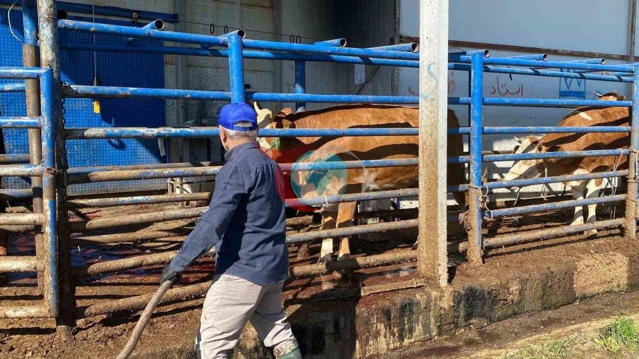 Futbol Klublarından Qurban Bayramı ilə bağlı Xüsusi Mesajlar