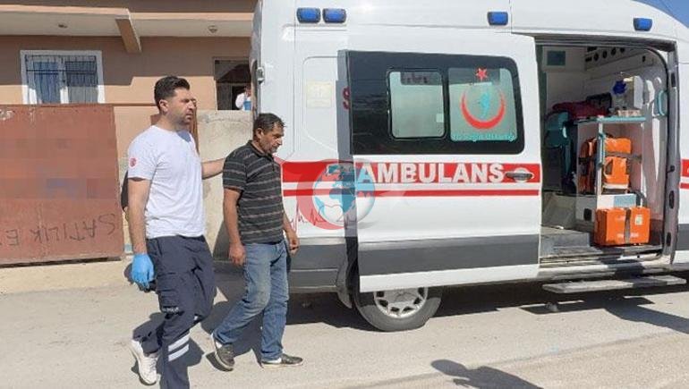 Çorumda kaçan kurbanlık ortalığı birbirine kattı Sahibi çareyi bodruma saklanmakta buldu