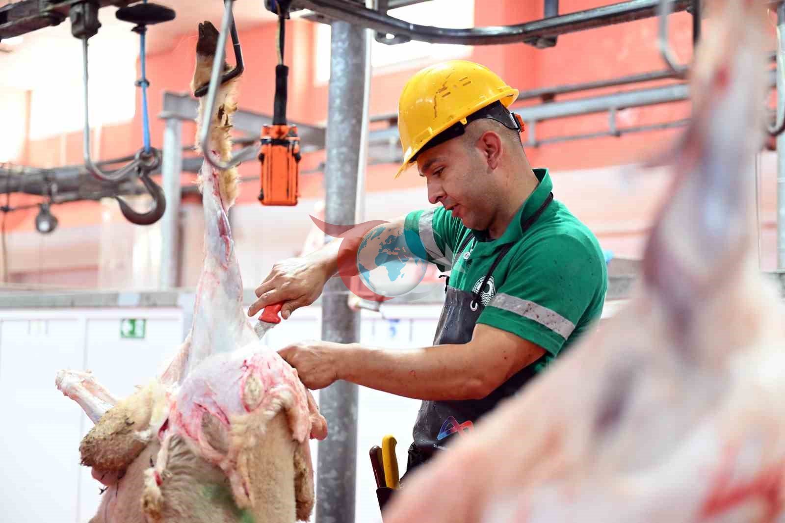 Mersin'de Hijyenik Kurban Kesim Hizmeti Büyük Beğeni Topladı