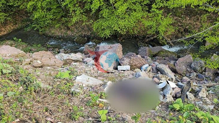 Sinekli Yaylası'ndaki Gizemli Cinayet Kamera Kayıtlarıyla Çözüldü