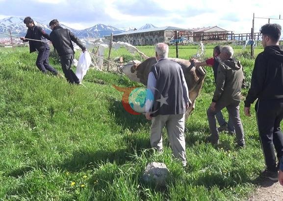 Kurban Kesiminde Kalp Krizi: İki Kişi Hayatını Kaybetti