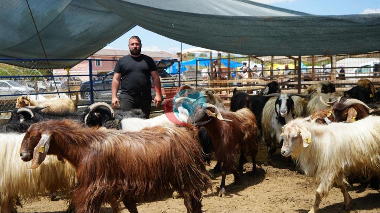 Kırıkkale'de Kurban Bayramı'nda Hayvan Satışları Yüzleri Güldürdü