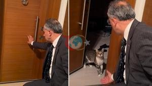 Bələdiyyə meri açarını unutdu. Onun pişiyi Fred qapını açdı