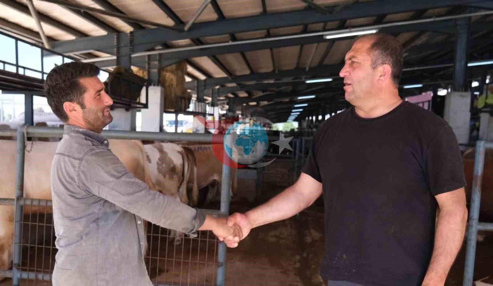 İnegöl’de modern hayvan pazarı Kurban Bayramı’nda yüzleri güldürdü