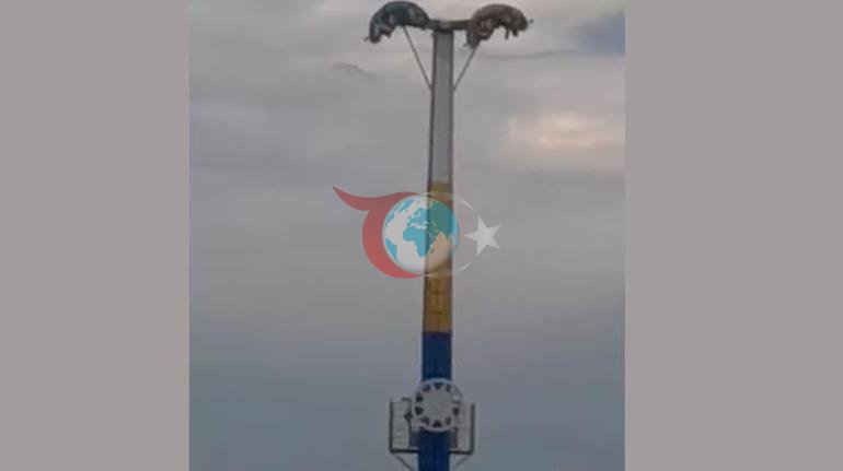 Dynç alyş seýilgähinde elhenç hadysa. Olar aşakda, metrlerde