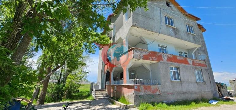 Boyları tam 3 metre Yılanlar tüm evi sardı, aile çaresiz: Geceleri uyuyamıyoruz