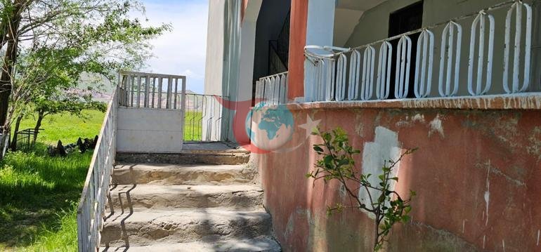 Onlar düz 3 metr uzunluqdadırlar. İlanlar bütün evi mühasirəyə alıb, ailə çarəsiz qalıb: Gecələr yata bilmirik class=