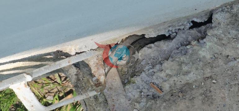 Onlar düz 3 metr uzunluqdadırlar. Bütün evi ilanlar əhatə edib, ailə çarəsiz: Gecələr yata bilmirik=