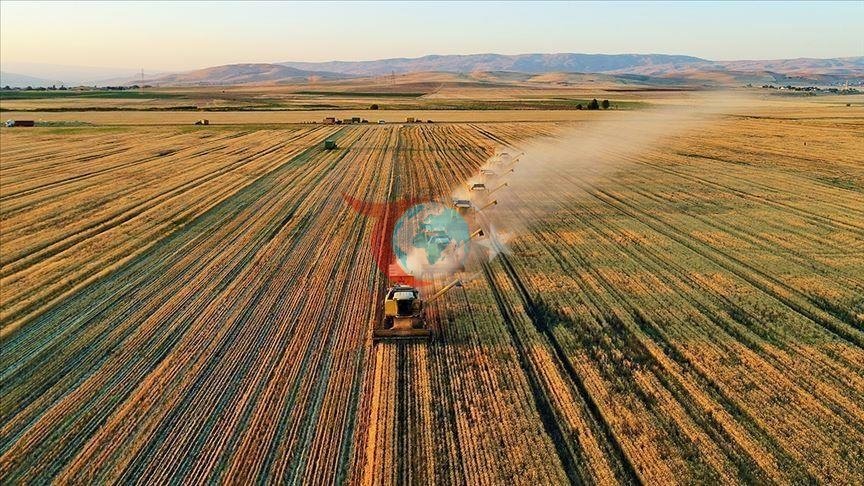 Tarımda 72 Bin Hektar Sulama Alanı Açıldı: Büyük Ekonomik Katkı