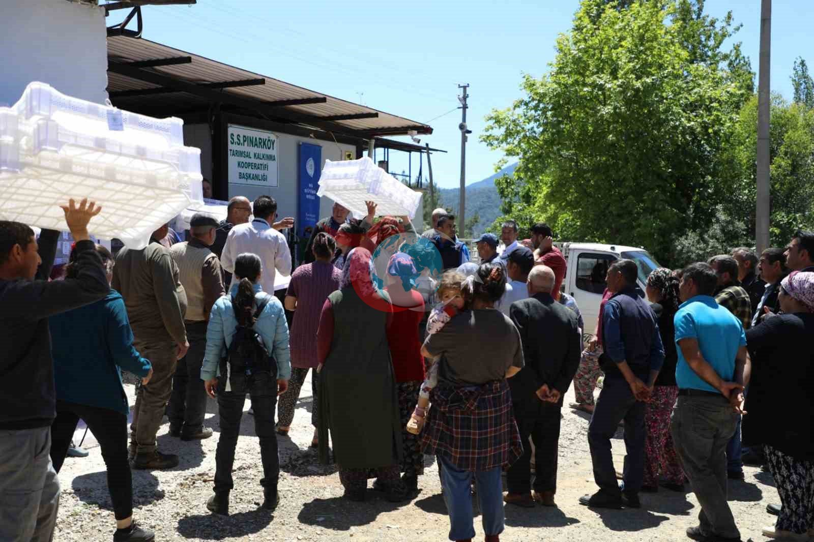 Muğla Büyükşehir&rsquo;den İpek böcekçiliğine destek
