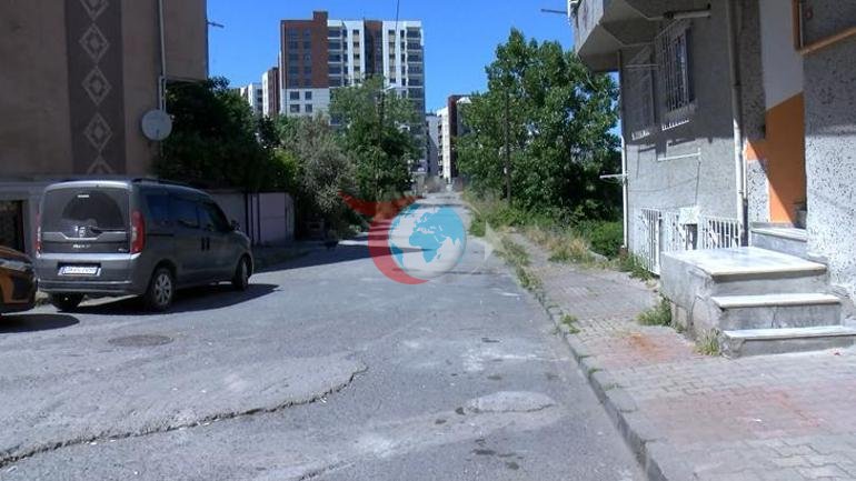 Göyərçin mübahisəsi həyatını itirdi Silah səsini eşidən 20 yaşlı Zəhra sinifdən küçəyə çıxıb həyatını itirdi=