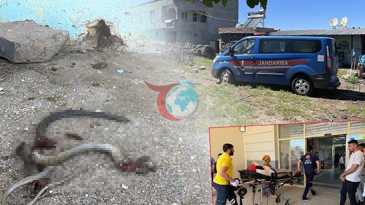 Şanlıurfa'da Yılan Korkusu: Tüfekle Ateş Açıldı, 5 Kişi Yaralandı