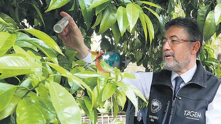 Türkiye'de Tarımda Yeni Dönem: 39 Bitki Çeşidi Tescillendi