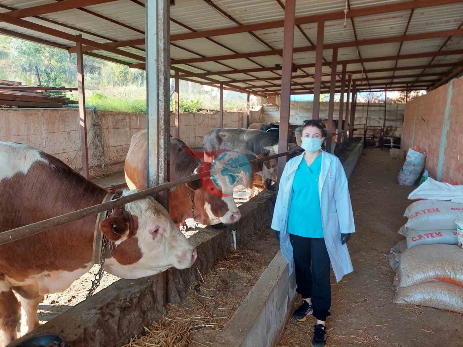 Yetkili ve sözleşmeli veteriner hekim uygulaması Aydın&rsquo;da başarıyla uygulandı