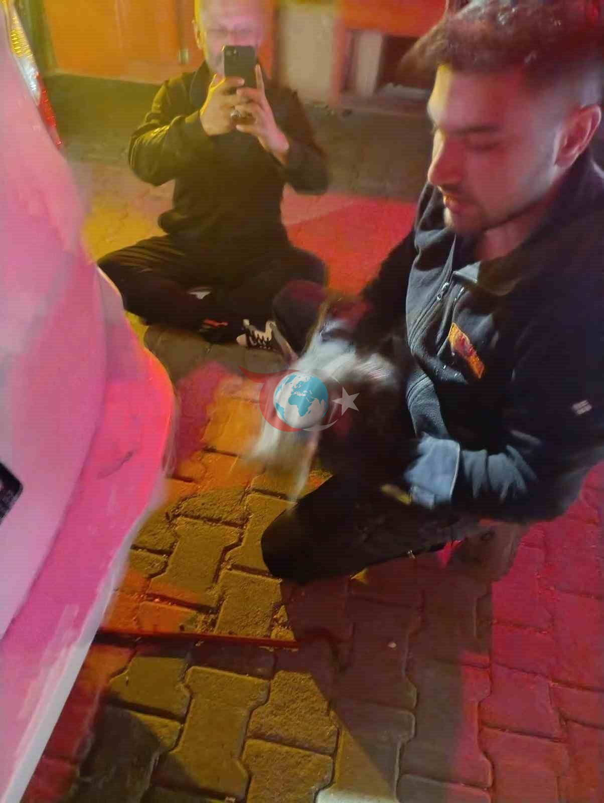 Motor kısmına sıkışan kedi için seferber oldular