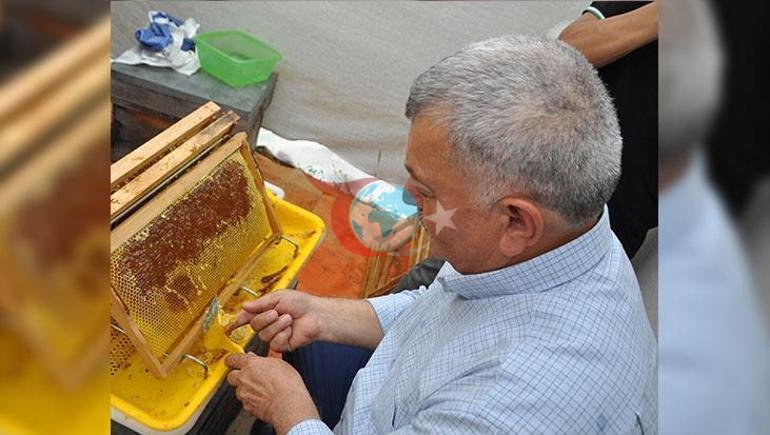 Kilosu dudak uçuklatıyor Antalya’nın ‘Acı Bal’ında coğrafi işaret hamlesi