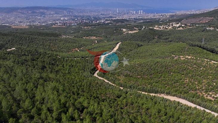İzmir'de Ormanlık Alanlara Giriş Yasağı Başladı